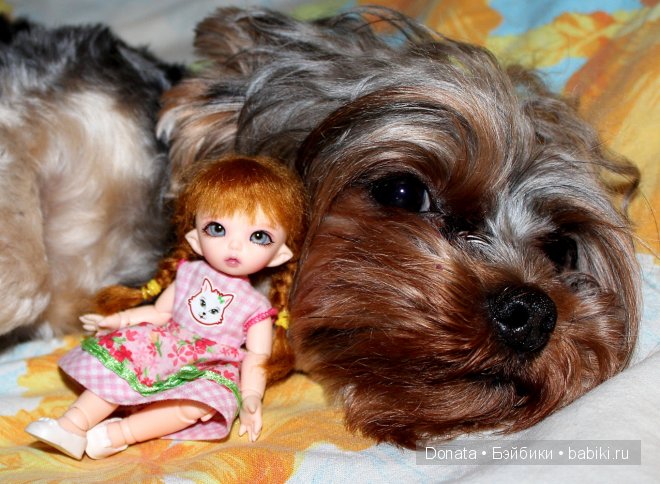 Маргошенька (Fairyland pukipuki Ante)