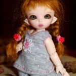 Моя маленькая любимка - рыжулька Маргошка (Fairyland Puki Ante NS)