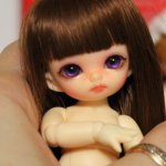 Добро пожаловать домой, Никусенька! Fairyland pukipuki Niko