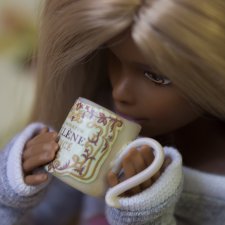 Мои Барбеечки Made to Move и гибриды