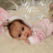 Новый молдик Александра