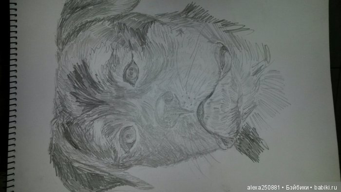 Рисунки, творчество, искусство (фото 4)