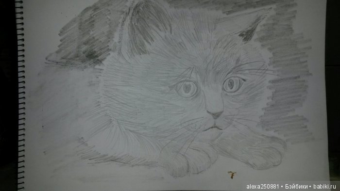 Рисунки, творчество, искусство