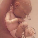 Авторские Бжд младенцы. Продолжение