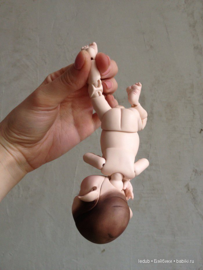 Последний малыш из первого преордера завтра летит домой