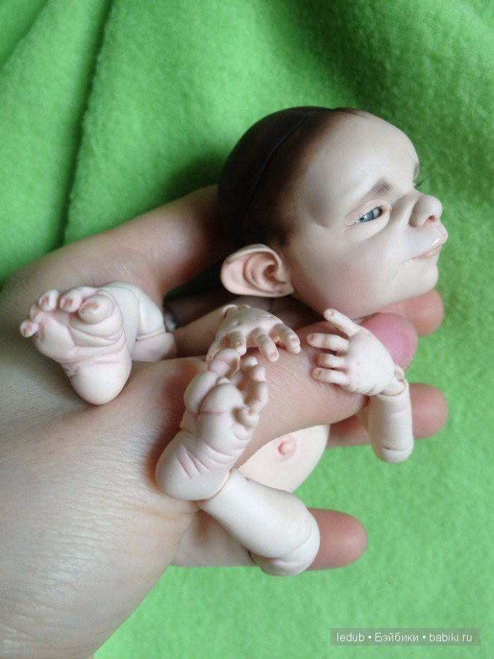 Последний малыш из первого преордера завтра летит домой