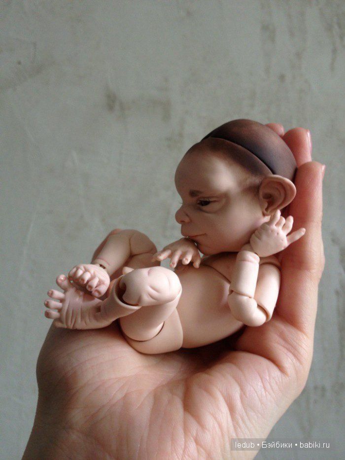 Последний малыш из первого преордера завтра летит домой