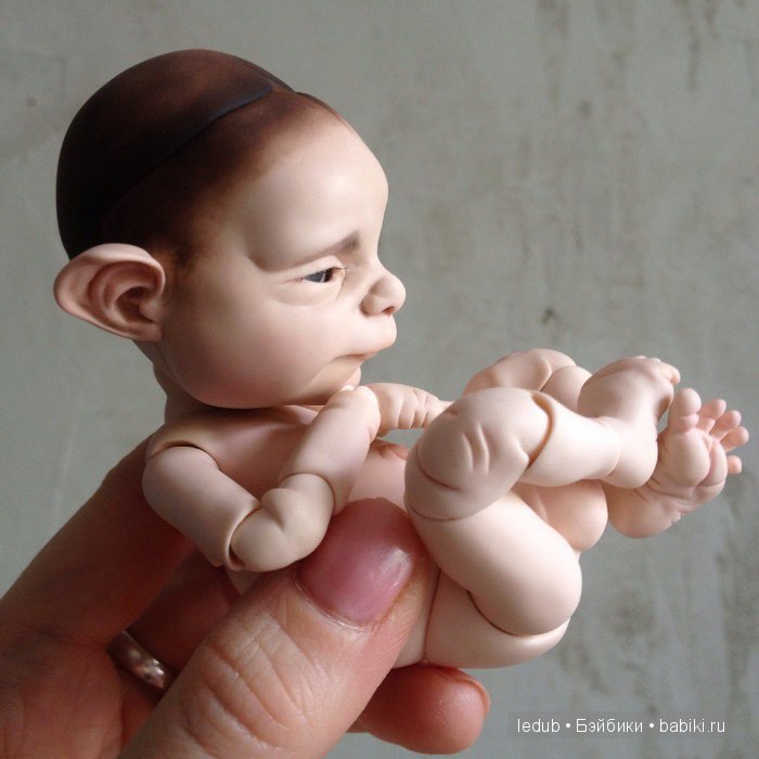 Последний малыш из первого преордера завтра летит домой