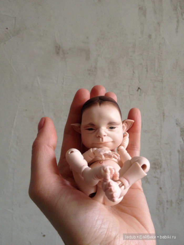 Последний малыш из первого преордера завтра летит домой (фото 2)