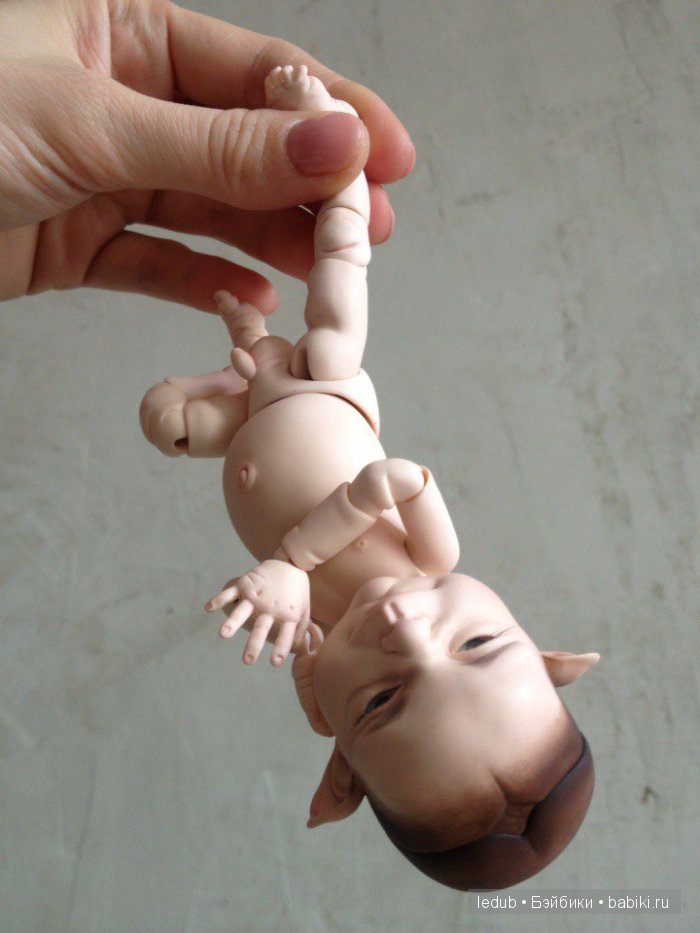 Последний малыш из первого преордера завтра летит домой