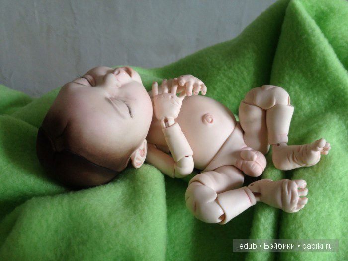 Последний малыш из первого преордера завтра летит домой (фото 5)