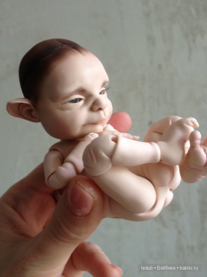 Последний малыш из первого преордера завтра летит домой