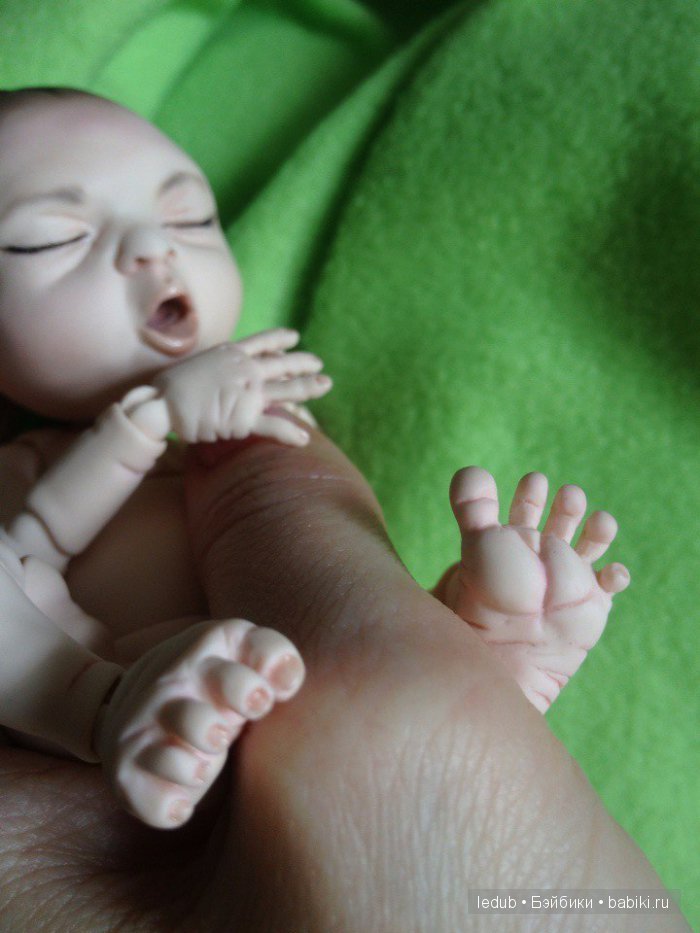 Последний малыш из первого преордера завтра летит домой