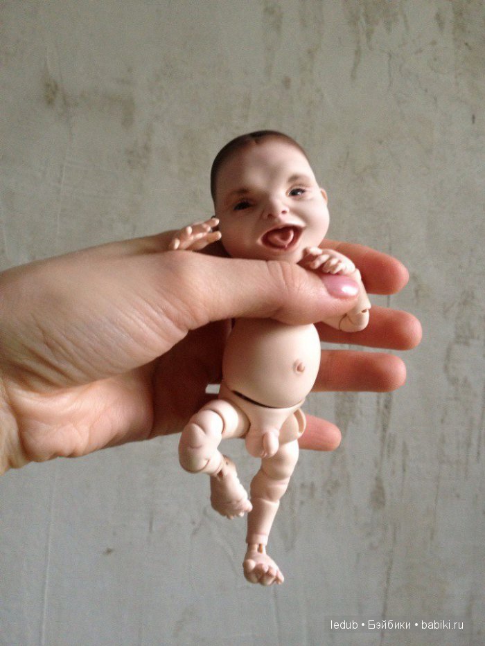 Последний малыш из первого преордера завтра летит домой