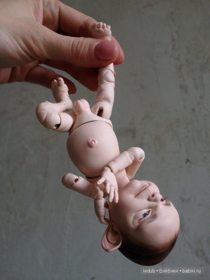 Последний малыш из первого преордера завтра летит домой