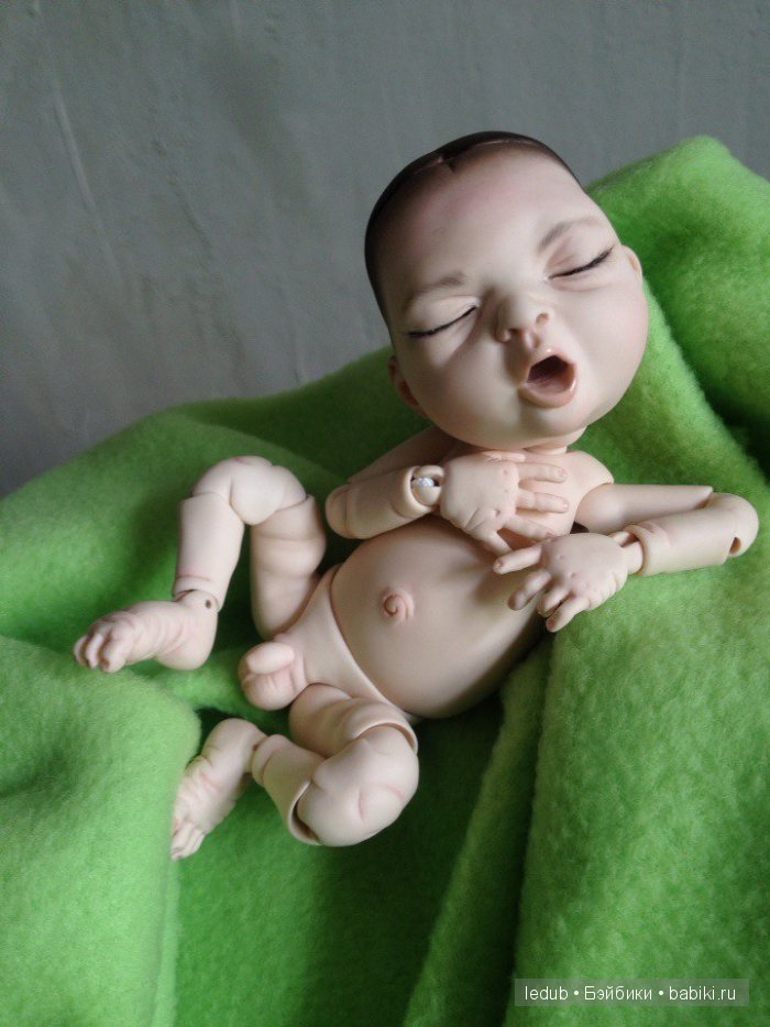 Последний малыш из первого преордера завтра летит домой (фото 8)