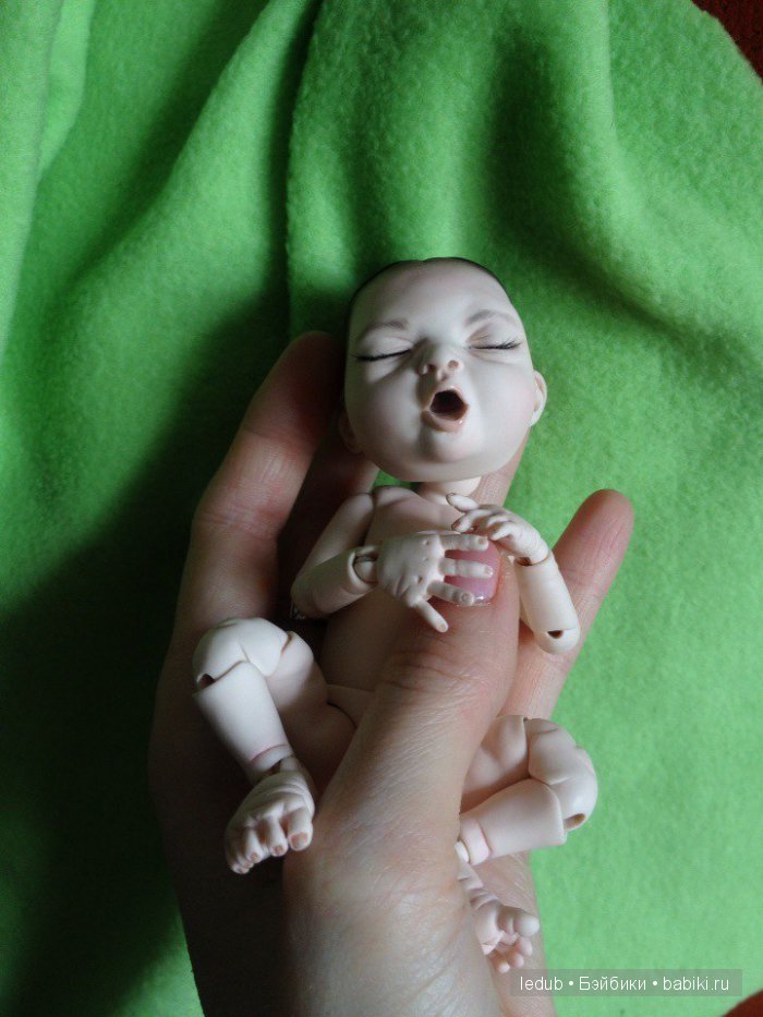 Последний малыш из первого преордера завтра летит домой