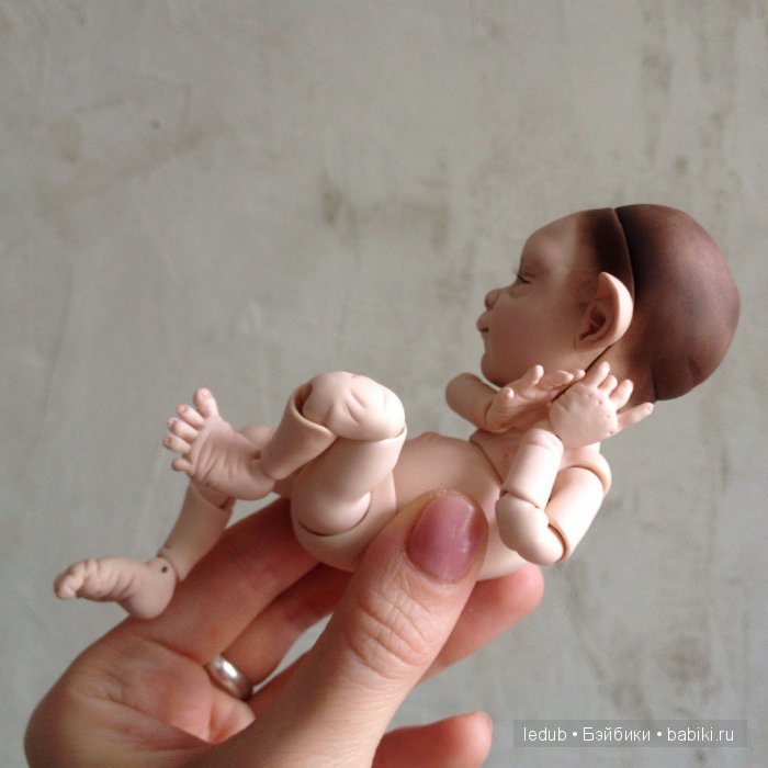 Последний малыш из первого преордера завтра летит домой