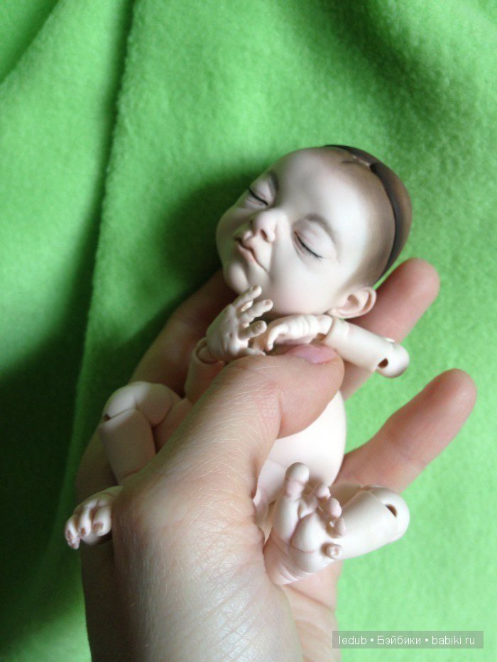 Последний малыш из первого преордера завтра летит домой