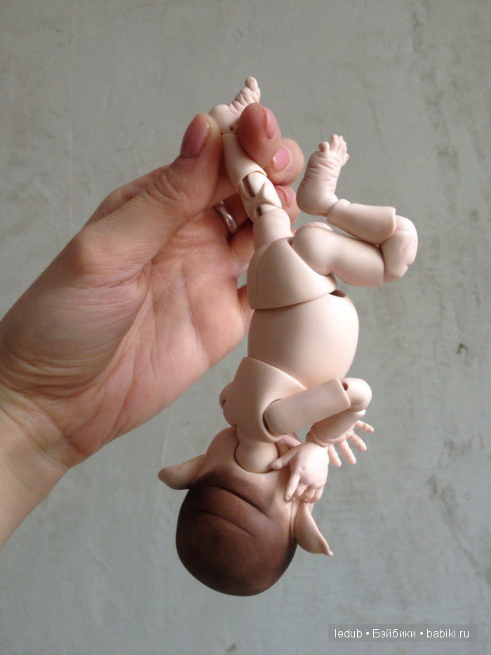 Последний малыш из первого преордера завтра летит домой