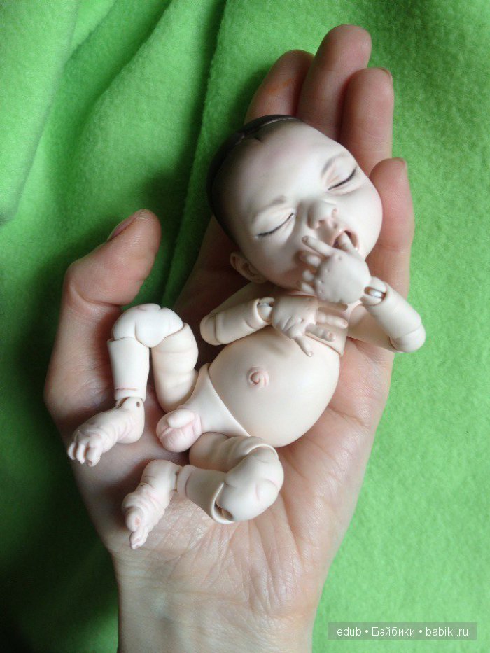 Последний малыш из первого преордера завтра летит домой (фото 9)