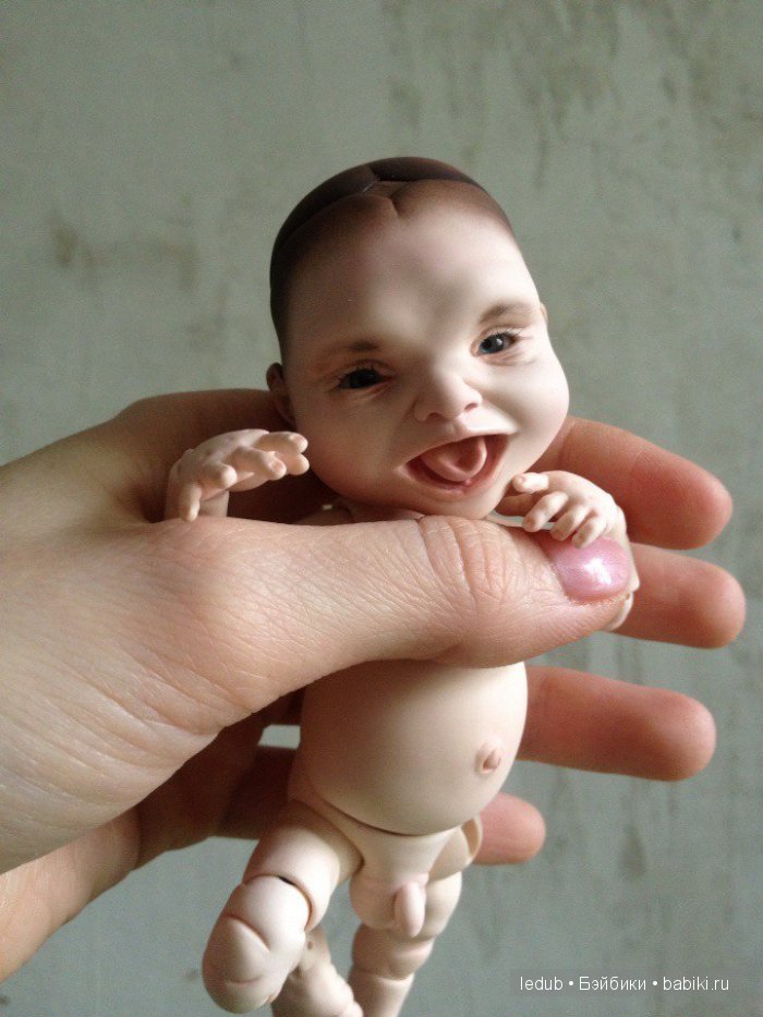 Последний малыш из первого преордера завтра летит домой