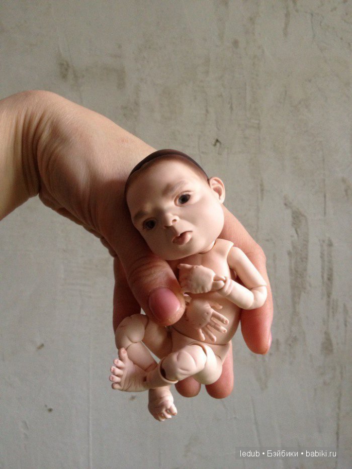 Последний малыш из первого преордера завтра летит домой