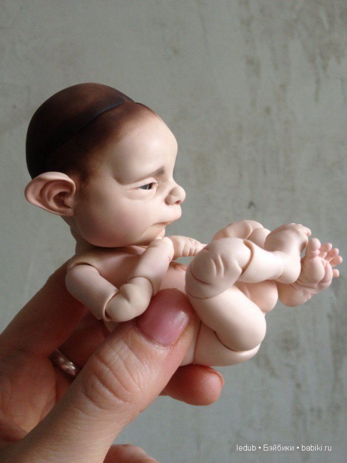 Последний малыш из первого преордера завтра летит домой