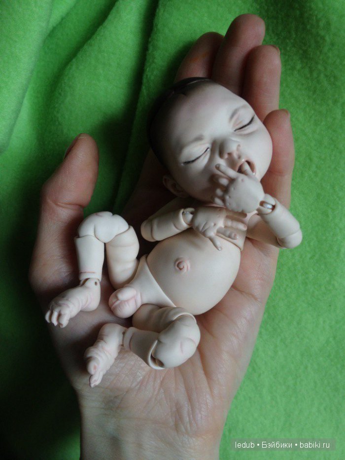 Последний малыш из первого преордера завтра летит домой (фото 3)