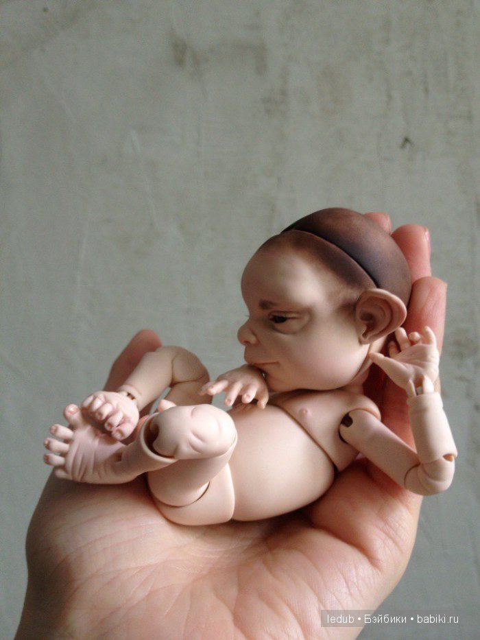 Последний малыш из первого преордера завтра летит домой