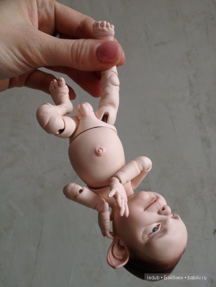 Последний малыш из первого преордера завтра летит домой