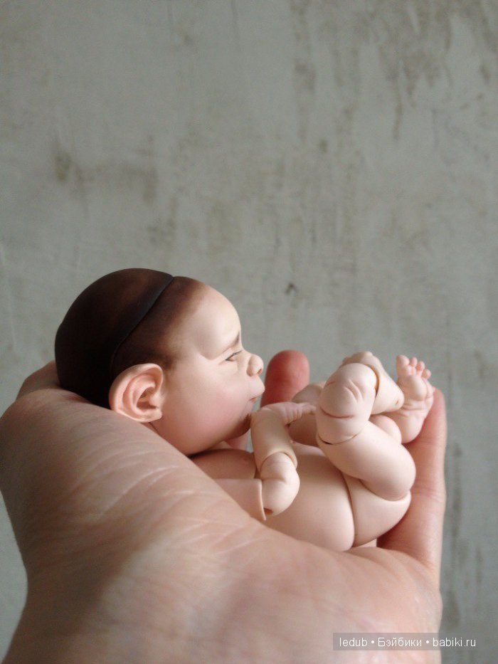 Последний малыш из первого преордера завтра летит домой