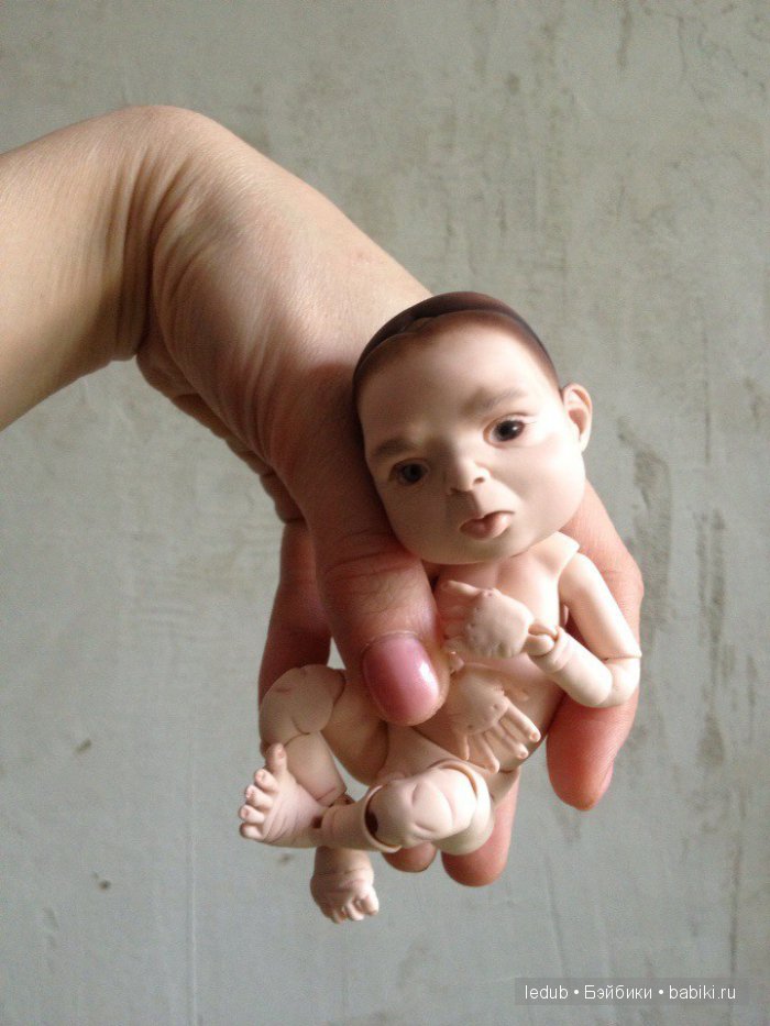 Последний малыш из первого преордера завтра летит домой