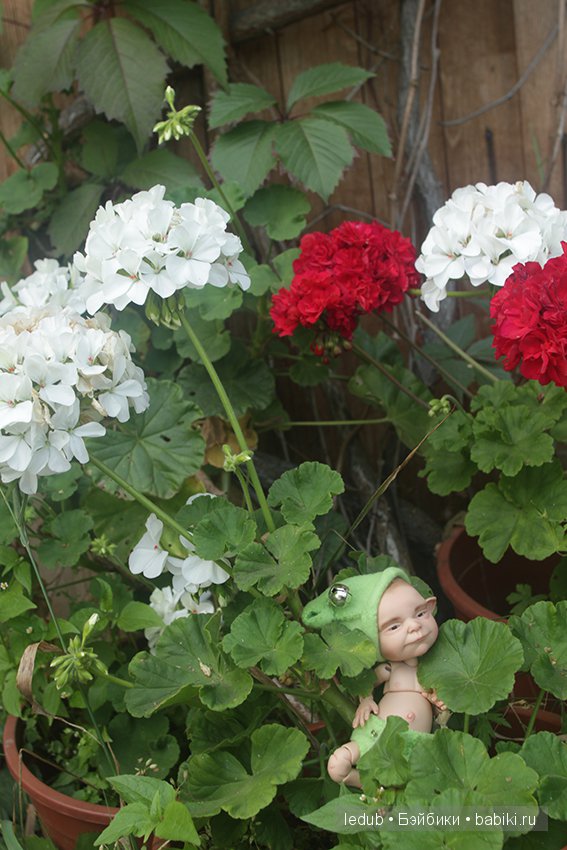 Шарнирные куклы от Дубровиной Лели. Летние зарисовки и второй предзаказ. Часть 1 (фото 8)