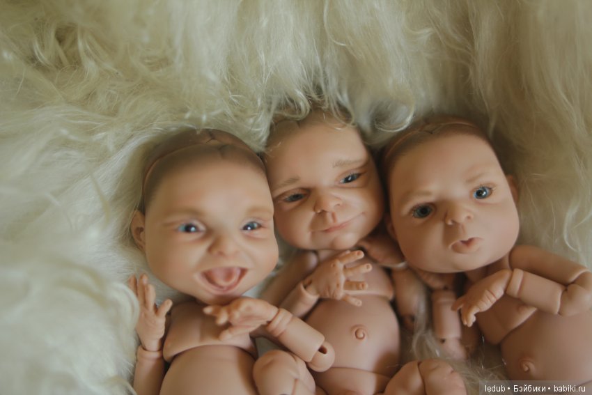 Собаки к году собаки. Подвожу итоги года (фото 2)