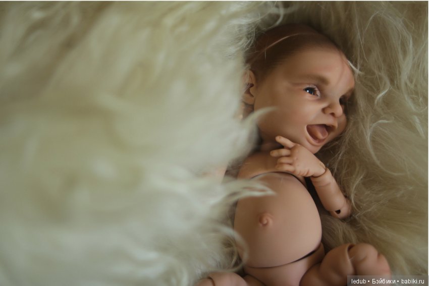 Собаки к году собаки. Подвожу итоги года (фото 3)