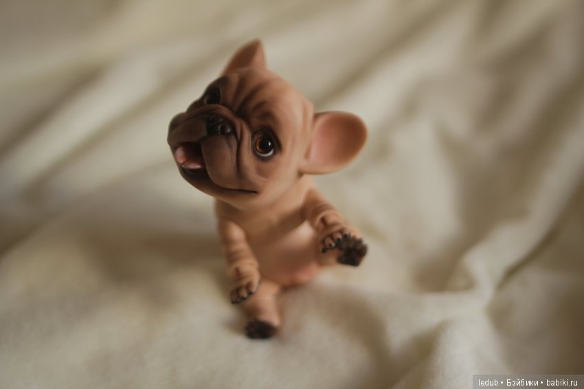 Шарнирный французский бульдог от Лели Дубровиной (фото 8)