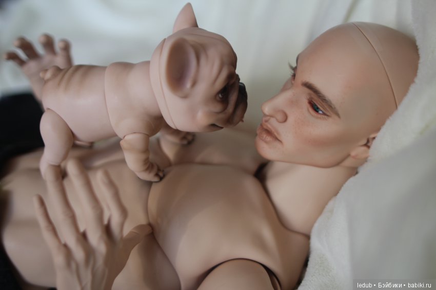 Шарнирный французский бульдог от Лели Дубровиной