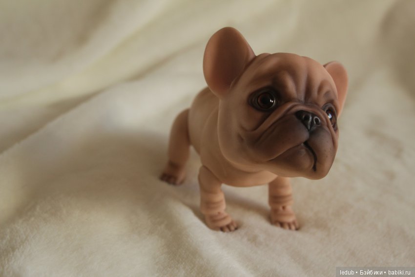 Шарнирный французский бульдог от Лели Дубровиной