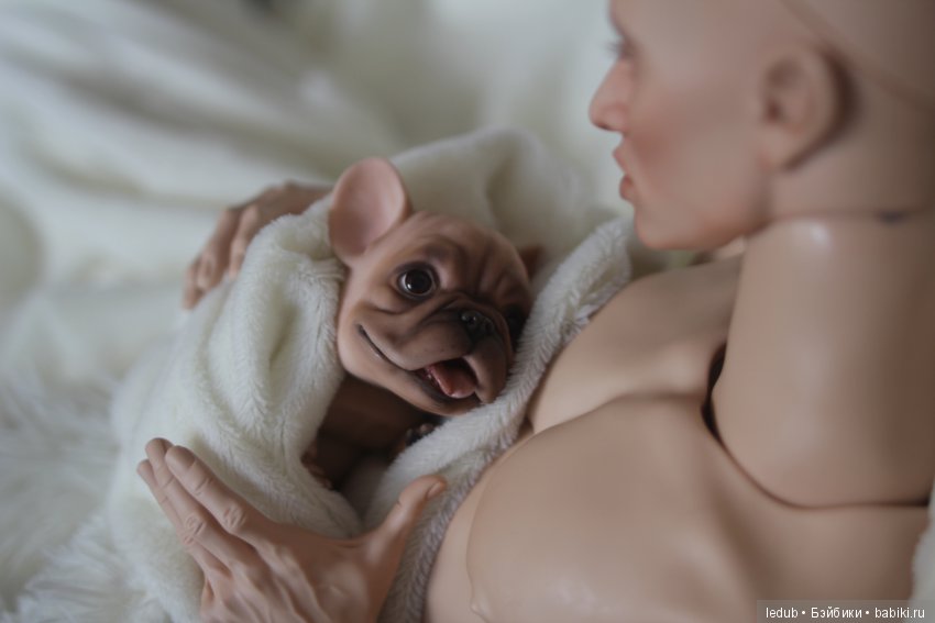 Шарнирный французский бульдог от Лели Дубровиной