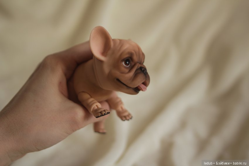 Шарнирный французский бульдог от Лели Дубровиной