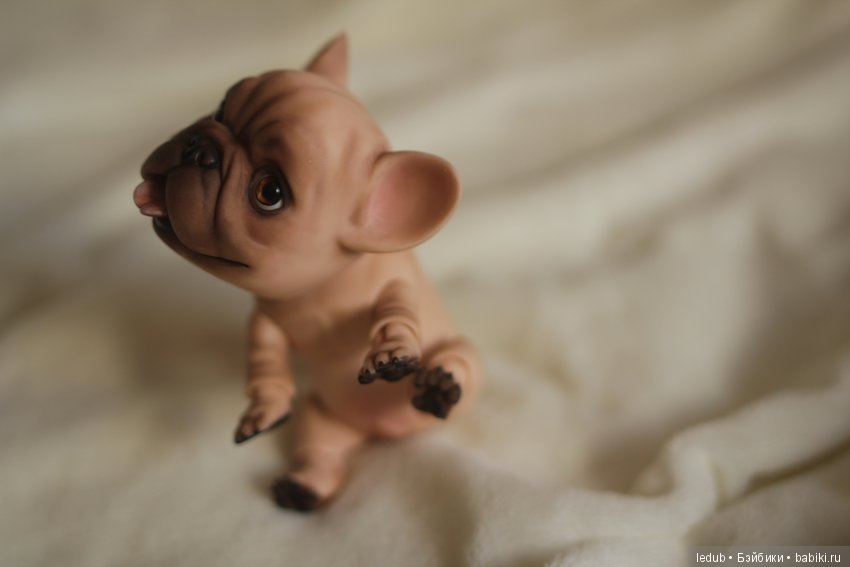 Шарнирный французский бульдог от Лели Дубровиной (фото 9)