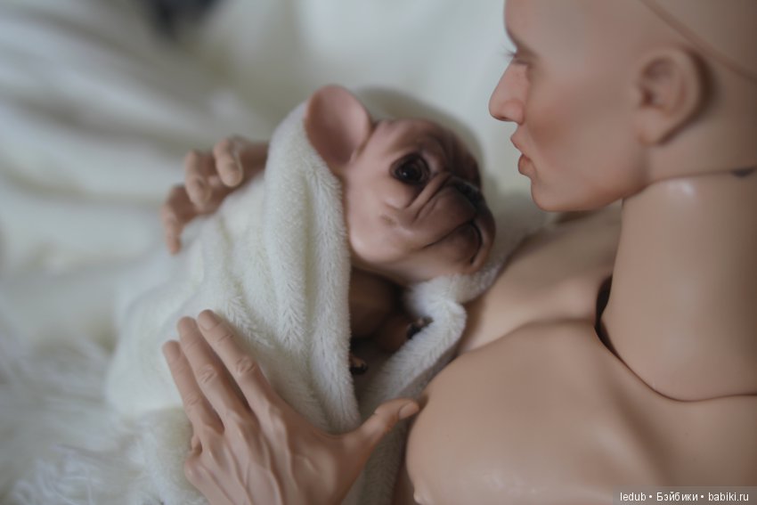 Шарнирный французский бульдог от Лели Дубровиной