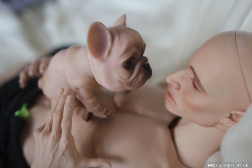 Шарнирный французский бульдог от Лели Дубровиной