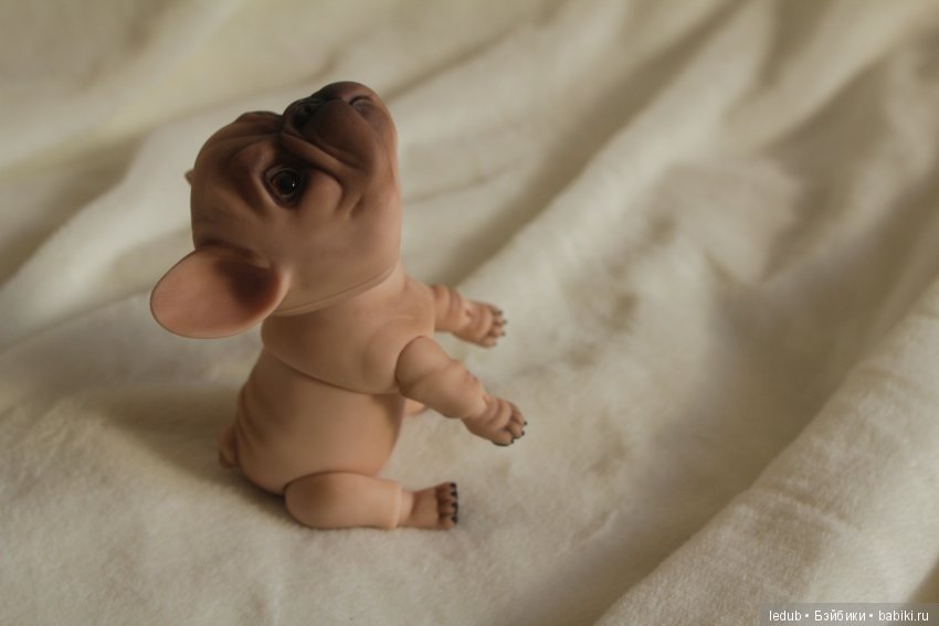 Шарнирный французский бульдог от Лели Дубровиной (фото 6)