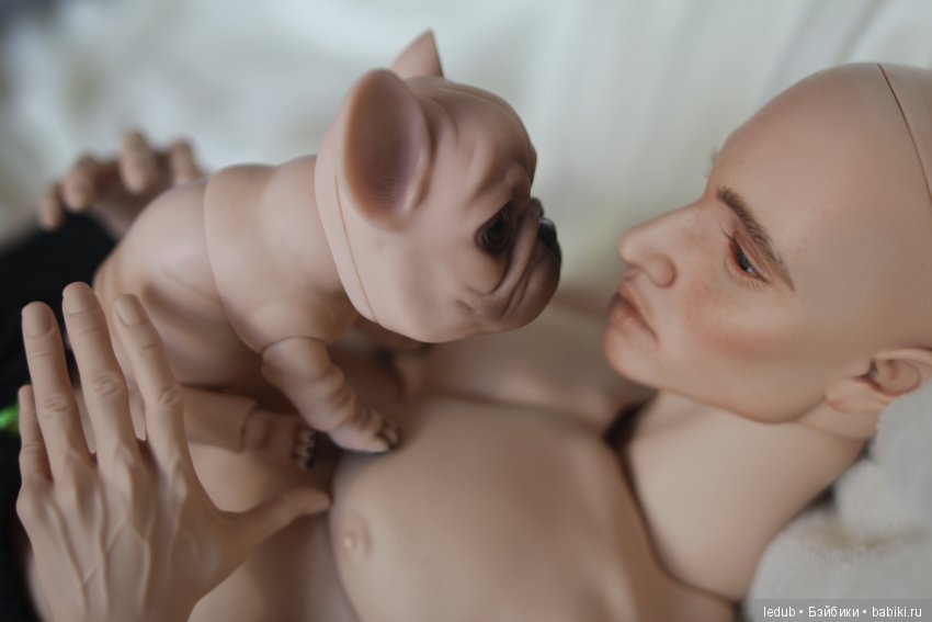 Шарнирный французский бульдог от Лели Дубровиной