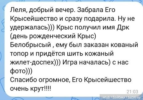 Его крысейшество — Игрушки в смешанной технике (мех и глина): Арт