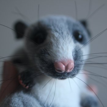 крЫсота от Лели Дубровиной