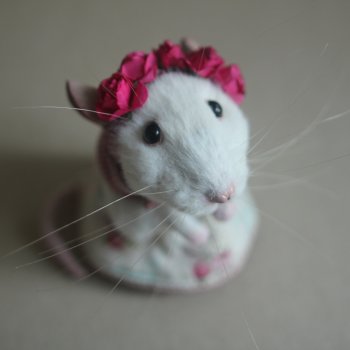 Мышки-малышки