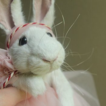 Кроличка-девочка)